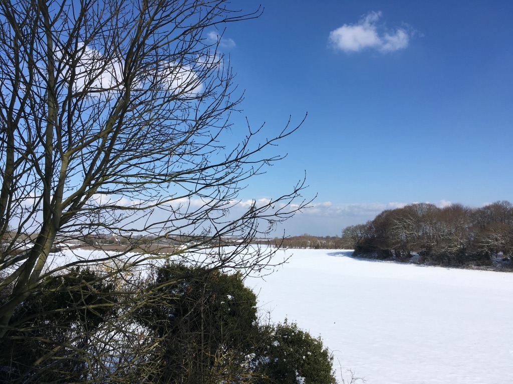 field snow